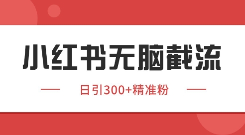 小红书截流同行客源，独家野路子获客玩法 日引200+暴力获客【揭秘】-小艾项目网