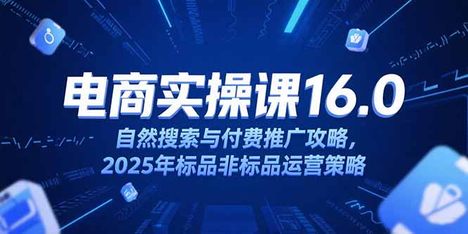 淘宝电商运营课16.0，自然搜索与付费推广攻略，2025年标品非标品运营策略-百盛轻创