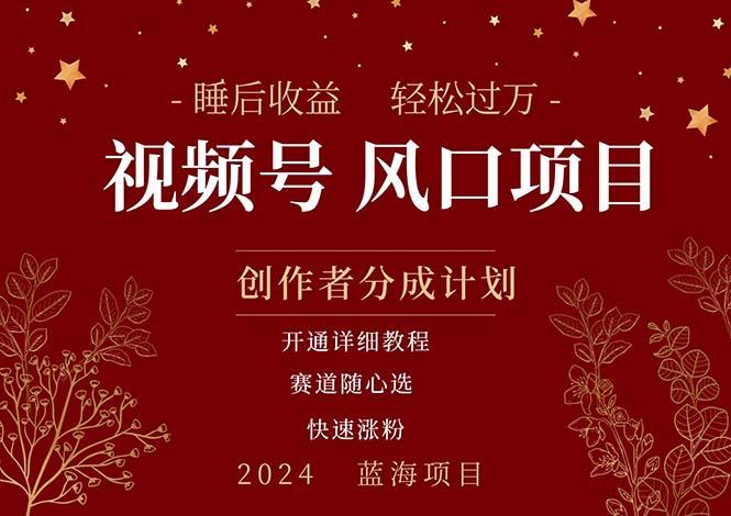 拥有睡眠收益的微信视频号大风口项目，轻松月入过万+，多赛道选择，可…-百盛轻创