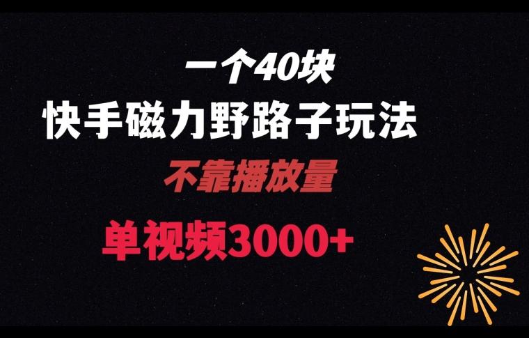一个40块，快手联合美团磁力新玩法，无视机制野路子玩法，单视频收益4位数【揭秘】-百盛轻创