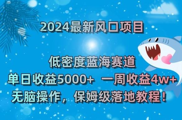 2024最新风口项目，低密度蓝海赛道，单日收益5000+，一周收益4w+！【揭秘】-百盛轻创