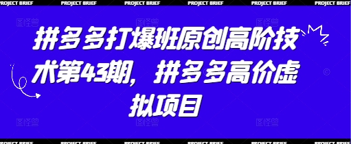 拼多多打爆班原创高阶技术第43期，拼多多高价虚拟项目-百盛轻创