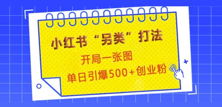 小红书“另类”打法，开局一张图，单日引爆500+精准创业粉【揭秘】-百盛轻创
