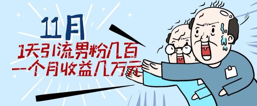 11月最新每天引流男粉300+一个月收益几万元-小艾项目网