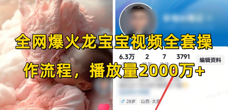 全网爆火龙宝宝视频全套操作流程，播放量2000万+-百盛轻创