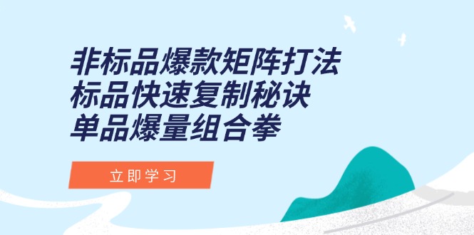 非标品爆款矩阵打法，标品快速复制秘诀，单品爆量组合拳-百盛轻创
