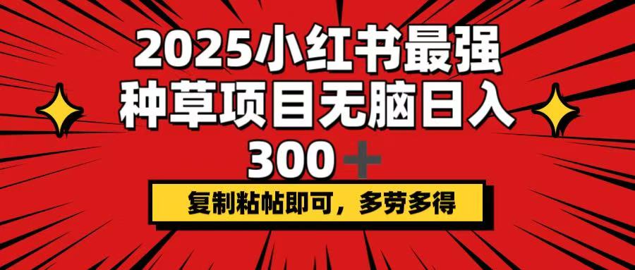 2025小红书最强种草项目，无脑日入300+，复制粘帖即可，多劳多得-百盛轻创