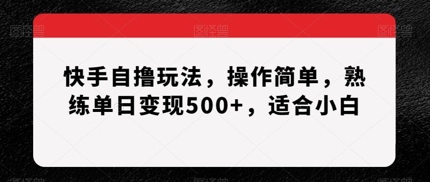 快手自撸玩法，操作简单，熟练单日变现500+，适合小白【揭秘】-百盛轻创
