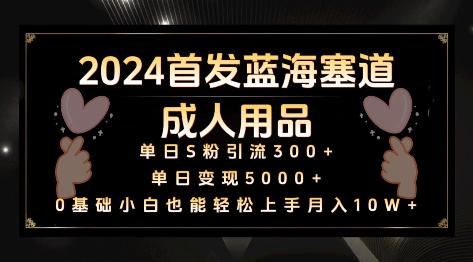 2024首发蓝海塞道成人用品，月入10W+保姆教程-百盛轻创