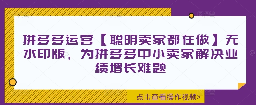 拼多多运营【聪明卖家都在做】无水印版，为拼多多中小卖家解决业绩增长难题-百盛轻创