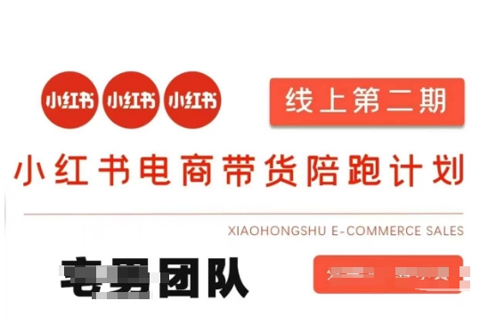 小红书电商带货课2期，月利润20个的小红书电商的有货源，无货源，虚拟产品，付费投流等整套玩法-小艾项目网