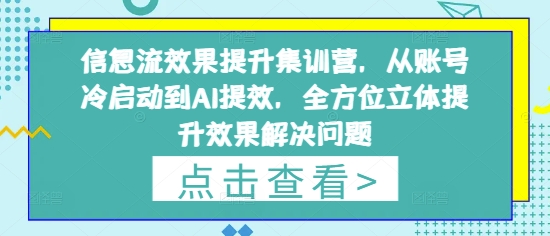 信息流效果提升集训营，从账号冷启动到AI提效，全方位立体提升效果解决问题-小艾项目网