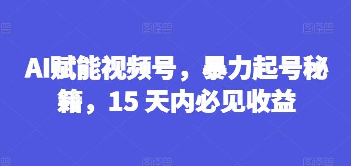 AI赋能视频号，暴力起号秘籍，15 天内必见收益【揭秘】-百盛轻创