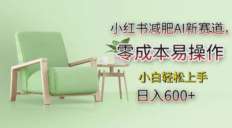 小红书减肥AI新赛道，零成本易操作，日入多张，小白轻松上手【揭秘】-百盛轻创