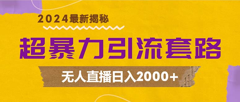 超暴力引流套路，无人直播日入2000+-小艾项目网