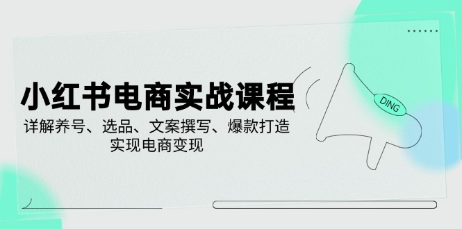 小红书电商实战课程，详解养号、选品、文案撰写、爆款打造，实现电商变现-小艾项目网