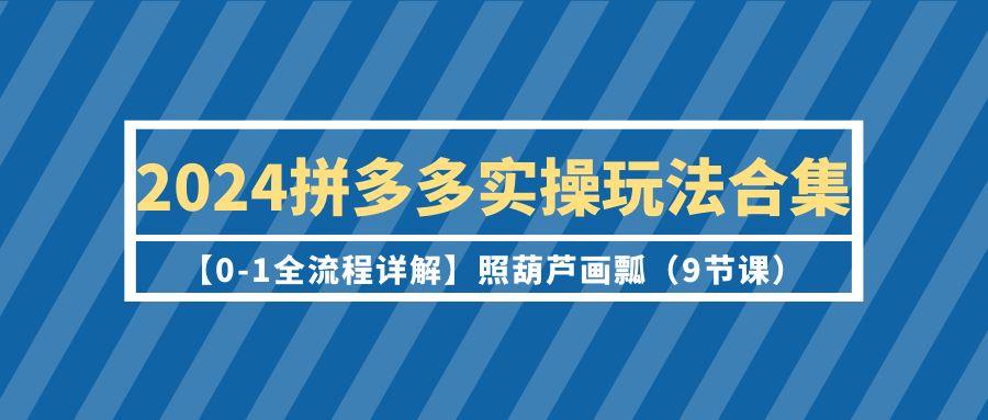 (9559期)2024拼多多实操玩法合集【0-1全流程详解】照葫芦画瓢(9节课)-百盛轻创