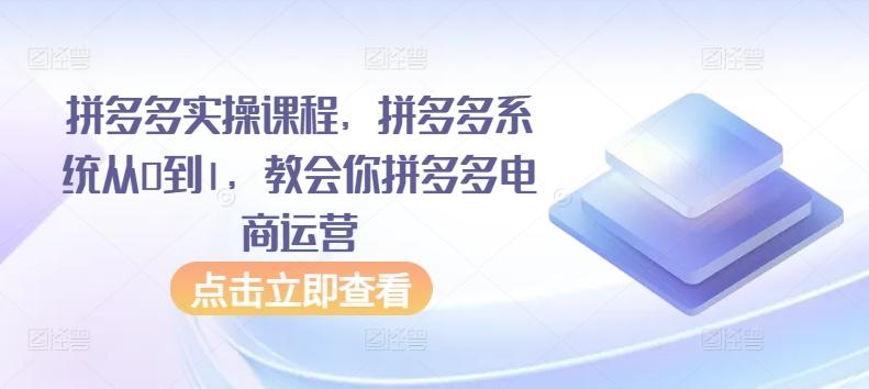 拼多多实操课程，拼多多系统从0到1，教会你拼多多电商运营-百盛轻创