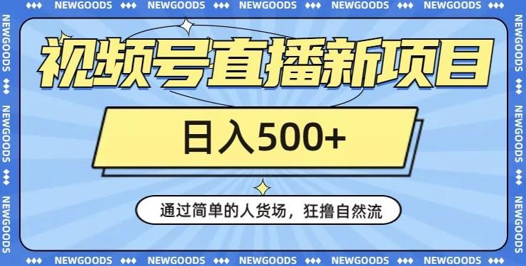 视频号直播新项目，通过简单的人货场，狂撸自然流，日入500+【260G资料】-小艾项目网