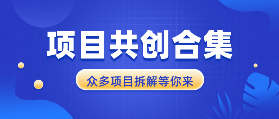 项目共创合集，从0-1全过程拆解，让你迅速找到适合自已的项目-百盛轻创