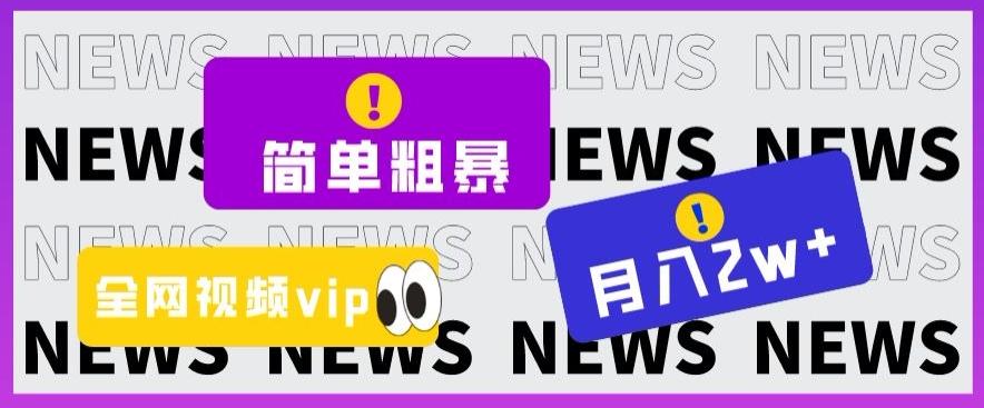 简单粗暴零成本，高回报，全网视频VIP掘金项目，月入2万＋【揭秘】-小艾项目网