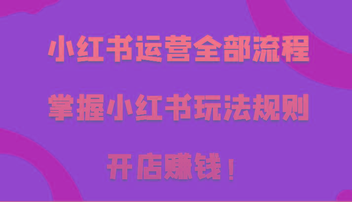 小红书运营全部流程，掌握小红书玩法规则，开店赚钱！-百盛轻创