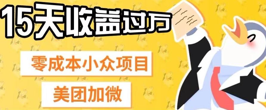 零成本小众项目，美团加微，一单4.5+，15天已经有人赚上万收益-小艾项目网