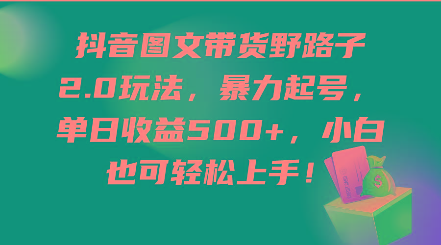 (9790期)抖音图文带货野路子2.0玩法，暴力起号，单日收益500+，小白也可轻松上手！-百盛轻创