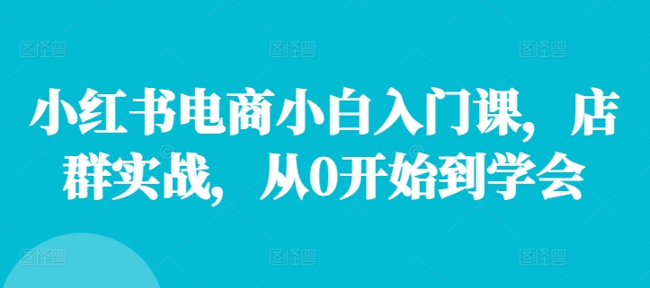 小红书电商小白入门课，店群实战，从0开始到学会-小艾项目网