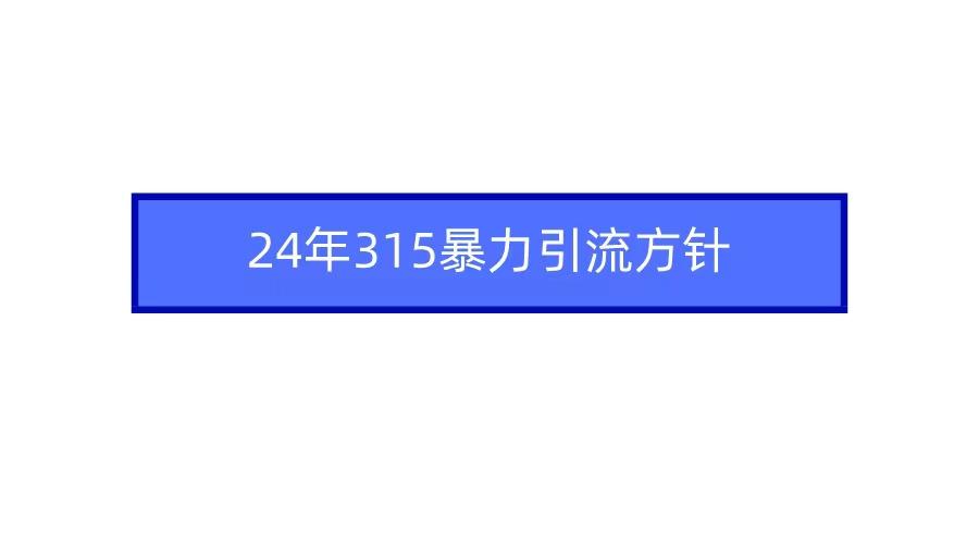 (9398期)2024年315暴力引流方针-百盛轻创