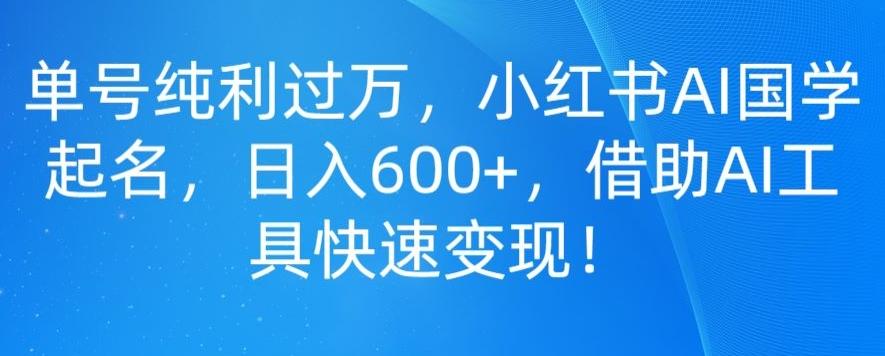 单号纯利过万，小红书AI国学起名，日入600+，借助AI工具快速变现-小艾项目网