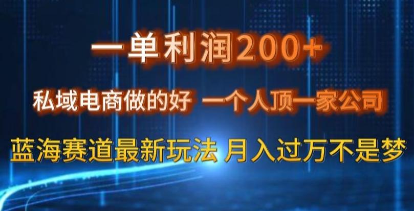 一单利润200私域电商做的好，一个人顶一家公司蓝海赛道最新玩法【揭秘】-百盛轻创