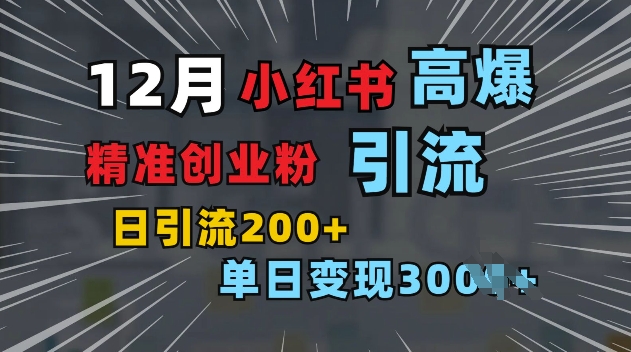 小红书一张图片“引爆”创业粉，单日+200+精准创业粉 可筛选付费意识创业粉【揭秘】-百盛轻创