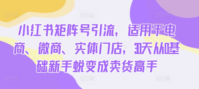 小红书矩阵号引流，适用于电商、微商、实体门店，30天从0基础新手蜕变成卖货高手-百盛轻创