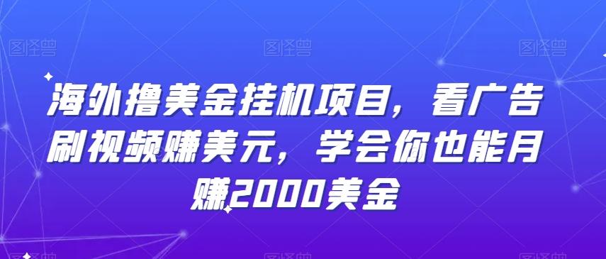 海外撸美金挂机项目，看广告刷视频赚美元，学会你也能月赚2000美金-百盛轻创