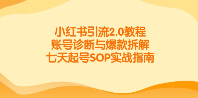小红书引流2.0教程，账号诊断与爆款拆解，七天起号SOP实战指南-小艾项目网