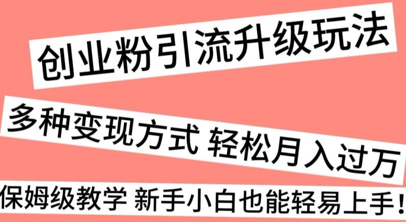 创业粉引流升级玩法，多种变现方式轻松月入过万，保姆级教学新手小白也能轻易上手！-百盛轻创