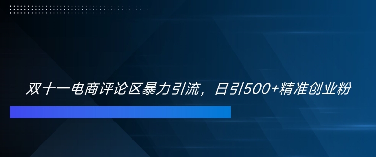 双十一电商评论区暴力引流，日引500+精准创业粉【揭秘】-小艾项目网
