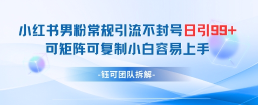 小红书男粉常规引流不封号日引99+变现简单 可矩阵可复制小白容易上手-百盛轻创
