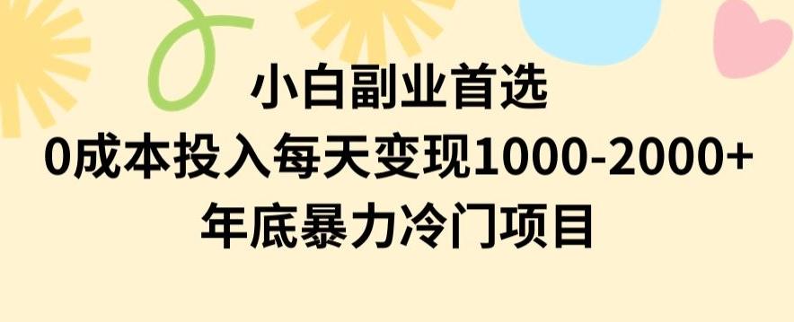 小白副业首选，0成本投入，每天变现1000-2000年底暴力冷门项目【揭秘】-百盛轻创