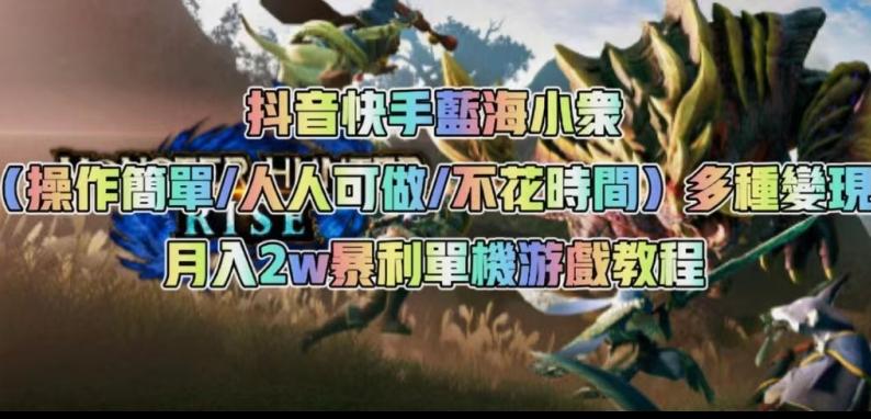 抖音快手蓝海小众（操作简单人人可做不花时间）多种变现月入2w＋暴利单机游戏教程-小艾项目网