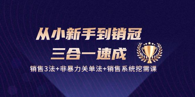 从小新手到销冠 三合一速成：销售3法+非暴力关单法+销售系统挖需课 (27节-小艾项目网