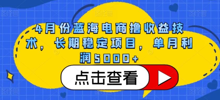 4月份蓝海电商撸收益技术，长期稳定项目，单月利润5000+【揭秘】-百盛轻创