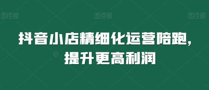 抖音小店精细化运营陪跑，提升更高利润-百盛轻创