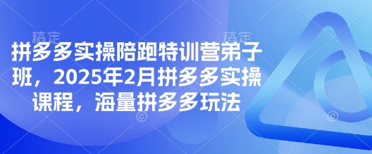 拼多多实操陪跑特训营弟子班，2025年2月拼多多实操课程，海量拼多多玩法-百盛轻创