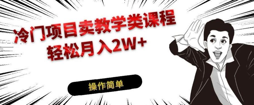 冷门项目卖教学类课程，轻松月入2W+-小艾项目网