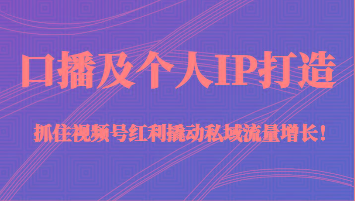 口播及个人IP打造，抓住视频号红利撬动私域流量增长！（45节课）-百盛轻创