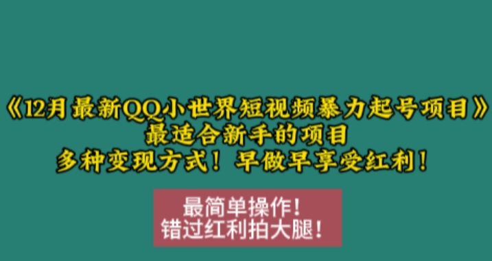 12月最新QQ小世界短视频暴力起号项目，最适合新手的项目，多种变现方式-百盛轻创