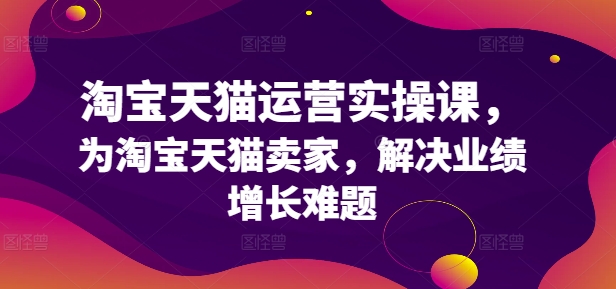 淘宝天猫运营实操课，为淘宝天猫卖家，解决业绩增长难题-百盛轻创