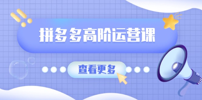 拼多多高阶运营课：极致群爆款玩法，轻付费无尽复制，打造单品爆款之路-百盛轻创